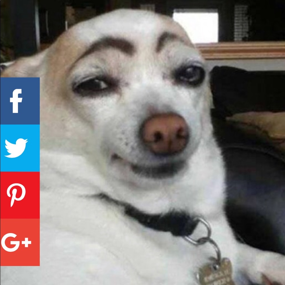 Meet your Posher, Renee